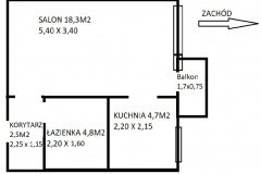 rzut-2
