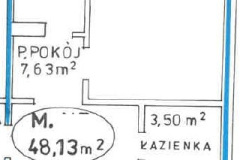 rzut