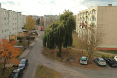 IMG_20231102_121300_206